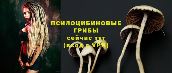 ПСИЛОЦИБИНОВЫЕ ГРИБЫ Абинск