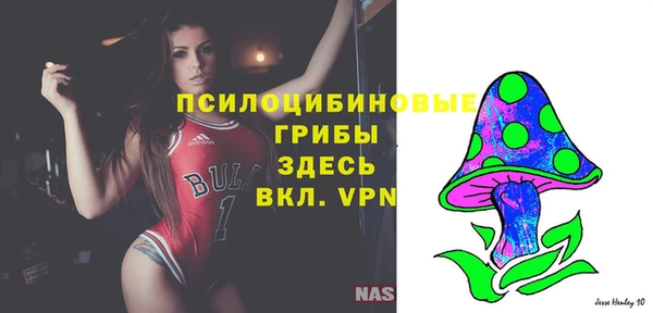 ПСИЛОЦИБИНОВЫЕ ГРИБЫ Абинск