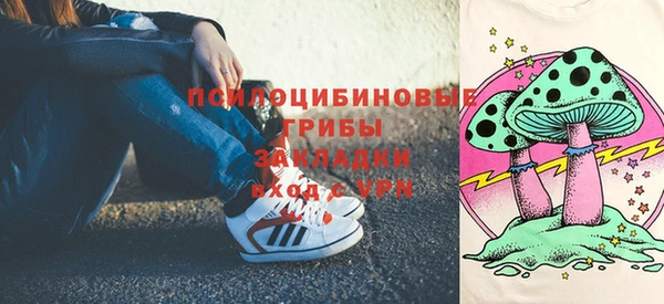 ПСИЛОЦИБИНОВЫЕ ГРИБЫ Абинск