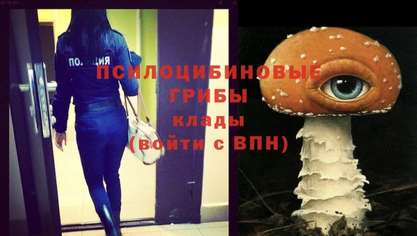 ПСИЛОЦИБИНОВЫЕ ГРИБЫ Абдулино