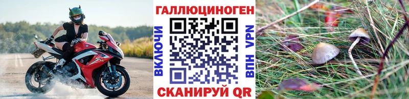 Псилоцибиновые грибы мухоморы  blacksprut tor  Клинцы 